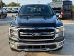 2024 F-150 Thumbnail 2