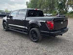 2024 F-150 Thumbnail 4
