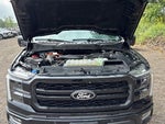 2024 F-150 Thumbnail 18