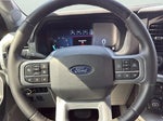 2025 F-150 Thumbnail 14
