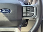 2025 F-150 Thumbnail 15