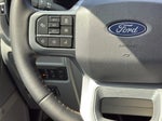 2025 F-150 Thumbnail 16