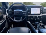 2025 F-150 Thumbnail 8