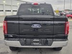 2025 F-150 Thumbnail 5