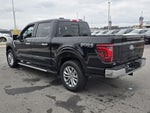 2025 F-150 Thumbnail 6
