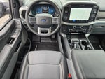 2025 F-150 Thumbnail 14