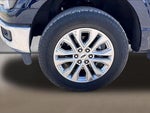 2025 F-150 Thumbnail 6