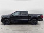 2025 F-150 Thumbnail 8