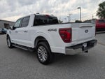 2024 F-150 Thumbnail 7