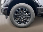 2025 F-150 Thumbnail 8