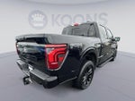 2025 F-150 Thumbnail 13