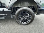 2025 F-150 Thumbnail 17