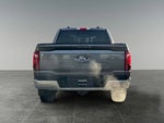 2024 F-150 Thumbnail 6