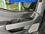 2025 F-150 Thumbnail 10