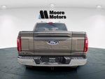 2025 F-150 Thumbnail 4