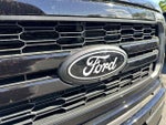 2025 F-150 Thumbnail 10