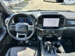 2025 F-150 Thumbnail 13
