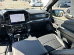 2025 F-150 Thumbnail 17