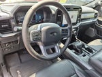 2025 F-150 Thumbnail 16