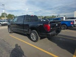 2024 F-150 Thumbnail 4