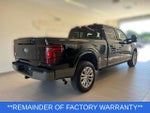 2025 F-150 Thumbnail 4