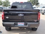 2024 F-150 Thumbnail 4