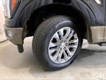 2025 F-150 Thumbnail 20