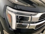 2025 F-150 Thumbnail 12