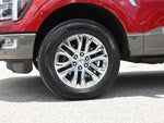 2025 F-150 Thumbnail 24