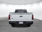 2024 F-150 Thumbnail 5