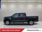 2024 F-150 Thumbnail 8