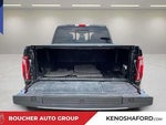 2024 F-150 Thumbnail 9