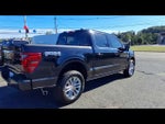 2024 F-150 Thumbnail 8
