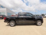 2024 F-150 Thumbnail 10