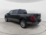 2025 F-150 Thumbnail 7