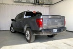 2024 F-150 Thumbnail 4