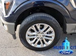 2025 F-150 Thumbnail 9