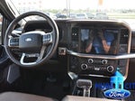 2025 F-150 Thumbnail 19