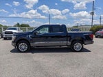 2025 F-150 Thumbnail 7
