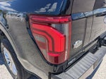2025 F-150 Thumbnail 11