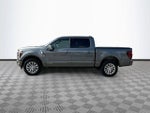 2025 F-150 Thumbnail 8