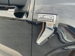 2024 F-150 Thumbnail 13