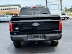 2024 F-150 Thumbnail 5