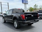 2024 F-150 Thumbnail 6