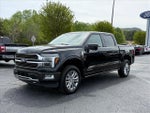2024 F-150 Thumbnail 8