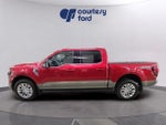 2025 F-150 Thumbnail 5