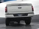 2024 F-150 Thumbnail 22