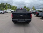 2024 F-150 Thumbnail 6