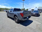 2024 F-150 Thumbnail 5