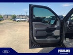 2025 F-150 Thumbnail 10